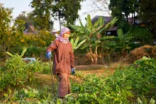 680120 สสธ.ม.4 ชาวชุมชน ถางหญ้า ทำแปลงสวนทำกิน 15.jpg