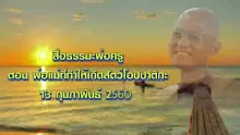 สื่อธรรมะพ่อครู(สมาธิพุทธ) ตอน พ่อแม่ที่ทำให้เกิดสัตว์โอปปาติกะ.mp4
