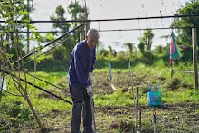 671021 วันบวร รวมสี ถางหญ้า สวนเพื่อฟ้าดิน18.jpg