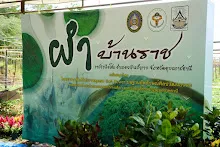 671222 นร.ม.2 ช่วยลงกล้าไม้ และถ่ายภาพโปรโมทสวนต่างๆ 37.jpg