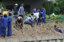 680603 รวมพลังปลูกแฝก วันเฉลิมพระชนมพรรษา สมเด็จพระนางเจ้าสุทิดา 117.jpeg