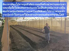 680210 ประชุมการศึกษาบุญนิยม ที่เนินพอกิน งานพุทธา 36.jpeg