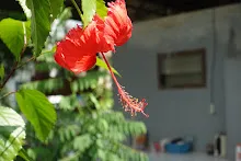 ZV_08318.JPG