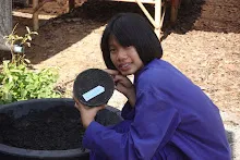 680202 สสธ.ม.3 ฝึกหัดเพาะชำต้นไม้แบบควบแน่น ไปสวนไวพลัง 552.JPG