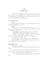 11 บทที่ 3.pdf