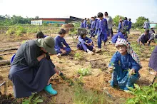680714 สมุนพระรามร่วมงานวันบวร ถอนหญ้าสวนกตัญญูแผ่นดิน 61.JPG