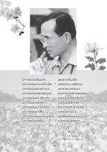 สารอโศก ฉ.320 เดือน ม.ค.-มิ.ย. 2554 งานฉลอง 30 ปี  วิสาขปุณมี ปัญญาสมโภช.pdf