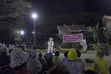680111 สสธ.แสดงภาคค่ำ งานวันเด็กแห่งชาติ กล้องเด็กถ่ายเอง 163.jpg