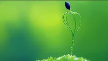สื่อธรรมะพ่อครู(ศีล สมาธิ ปัญญา) ตอน มัชฌิมศีลข้อ1 3.mp4