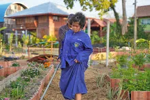 680110 สมุนพระราม ทำ 5 ส ปลูกต้นองุ่น ปรับปรุงแปลงดอกไม้ 60.jpg