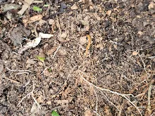 20240617_081741.jpg