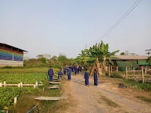 LINE_ALBUM_680219 สมุนพระรามเก็บหัวไชเท้า_250225_11.jpg