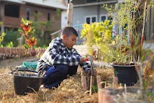 680110 สมุนพระราม ทำ 5 ส ปลูกต้นองุ่น ปรับปรุงแปลงดอกไม้ 90.jpg
