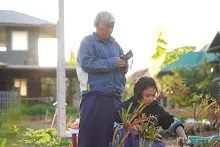 680110 สมุนพระราม ทำ 5 ส ปลูกต้นองุ่น ปรับปรุงแปลงดอกไม้ 81.jpg