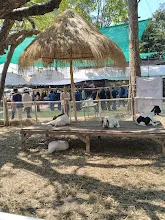 680212 สสธ.ไปทัศนศึกษาที่งานเกษตรอีสานใต้ ม.อุบล