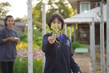 680110 สมุนพระราม ทำ 5 ส ปลูกต้นองุ่น ปรับปรุงแปลงดอกไม้ 96.jpg