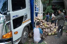 680602 วันบวรบ้านราช 5.jpg