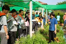 680419 ครูดีไม่มีอบายมุข รุ่น 14 เข้า work shop สวนครอบครัวน่ารัก 112.jpg
