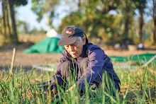 671217 สสธ.และชาวชุมขนไปถอนหญ้า แปลงหอมกระเทียม สวน 255 69.jpg