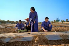 670121 โฮมแฮงปลูกแตงโมริมมูล 2 บวร 1 อาวาสสถาน 53.jpeg