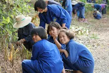 680603 รวมพลังปลูกแฝก วันเฉลิมพระชนมพรรษา สมเด็จพระนางเจ้าสุทิดา 125.jpeg