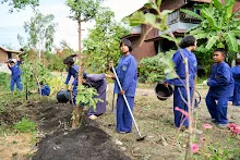 680224 วันบวร สมุนพระรามทำแปลงคอสมอส ข้างสนามเด็กเล่น 10.jpg