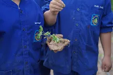 680616 สมุนพระรามไปขุดมันเทศริมมูลและเก็บเมล็ดถั่วลิสงเรี่ยดิน วันบวรกับชาวชุมชนกลุ่มสีส้ม 76.JPG