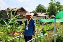680419 ครูดีไม่มีอบายมุข รุ่น 14 เข้า work shop สวนครอบครัวน่ารัก 281.jpg