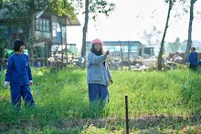 671217 สสธ.และชาวชุมขนไปถอนหญ้า แปลงหอมกระเทียม สวน 255 120.jpg