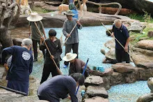 680511 ภาพโฮมแฮงขัดนำตกองค์พระพุทธธาในวันวิสาขฯ 56.jpeg