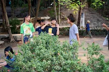 A7C07157.jpg