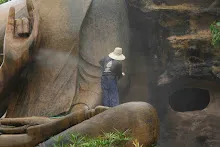 680511 ภาพโฮมแฮงขัดนำตกองค์พระพุทธธาในวันวิสาขฯ 18.jpeg