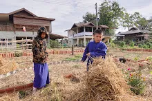 671216 สมุนพระราม ห่มดินสวนน่ารักด้วยฟางข้าว วัดระดับน้ำคลองไส้ไก่ 74.jpg
