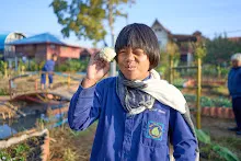 680608 สมุนพระรามเก็บเมล็ดพันธุ์ดอกไม้กินได้ที่สวน ไปขนดินปลูก 76.jpg