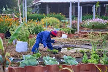 680121 สมุนพระรามยกกระถางต้นไม้แต่งสวน เปียหม่องทดลองเปิดน้ำตก 30.jpg