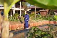 680103 สมุนพระรามดูแลสวนเช้า เย็น เปียหม่องเริ่มทำน้ำตก 63.jpg
