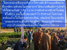 680209 เดินตามรอยโพธิสัตว์ งานพุทธาฯปฐมอโศก ต้นทองหลาง สังเคราะห์แสง 37.jpeg