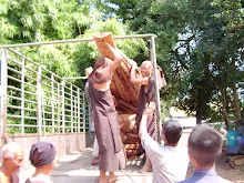 9947 1004_001.JPG