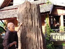 9947 1003_007.JPG