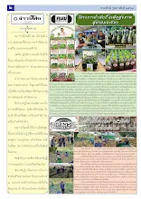 6902_00_รวมปักษ์ กุมภาพันธ์_สี2_0.jpg