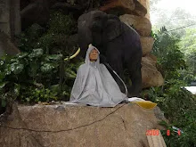DSC07634.JPG