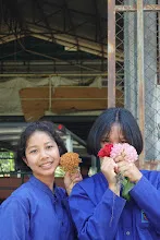 680202 สสธ.ม.3 ฝึกหัดเพาะชำต้นไม้แบบควบแน่น ไปสวนไวพลัง 291.JPG