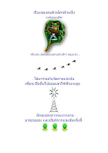 เจ้ากบตัวน้อย.doc.docx