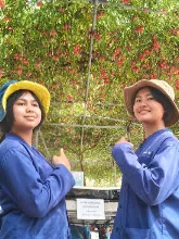 680212 สสธ.ไปทัศนศึกษาที่งานเกษตรอีสานใต้ ม.อุบล 30.jpg