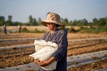 670120 สมุนพระรามเรียน ปวช ช่วยสะสางผักตบจากบุ่ง สสษ.ใส่ปุ๋ยแปลงแตงโมริมมูล 70.jpeg