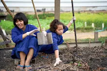 680224 วันบวร ชาวชุมชนสีแดง และ นร.ม.1 ปลูกหัวไชเท้า 18.jpg