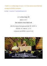 350410 กว่าจะสัมมาทิฏฐิ 10 ตอน 13 โดย พ่อท่าน สมณะโพธิรักษ์ งานพุทธาฯ ครั้งที่ 16 ศาลีอโศก.docx
