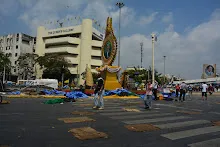 DSC_8237.JPG