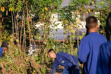 DSC03978.jpg