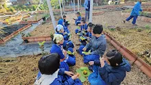 671201 นร.สมุนพระราม บูรณาการวิชาการงานฯ ทำข้าวจี่เพื่อสุขภาพ 115.jpg